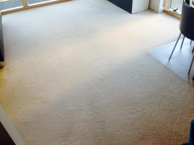 carpet before cleaning